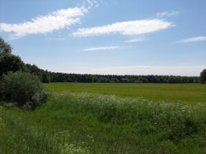 Феномен города Молога и его истории через почти 100 лет с затопления